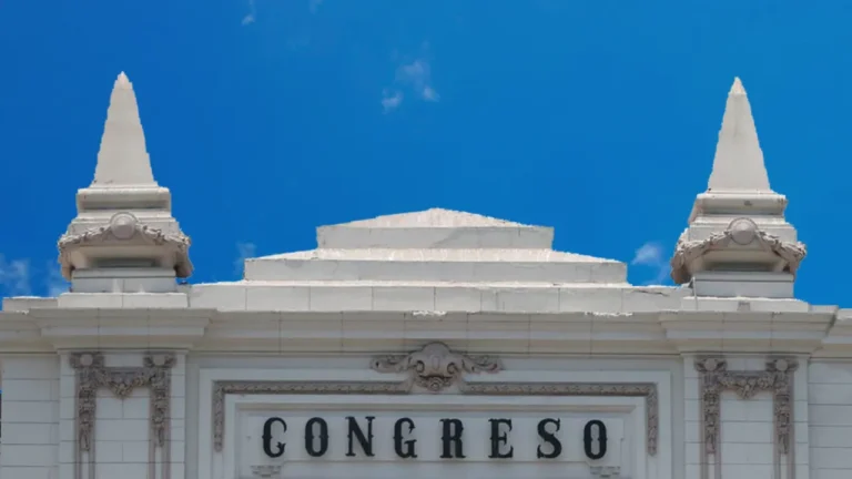 Guía rápida para entender el Congreso bicameral